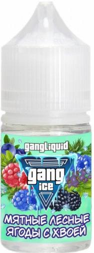 Gang ICE - Мята Смородина Малина Ежевика Хвоя 30 мл 20 мг